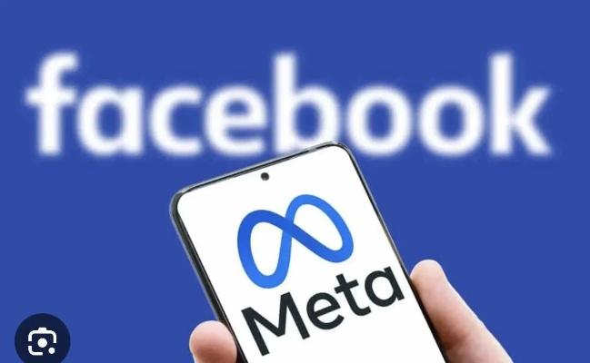 美国参议员要求调查Meta，指控其涉嫌每年获取百亿美元非法广告收入