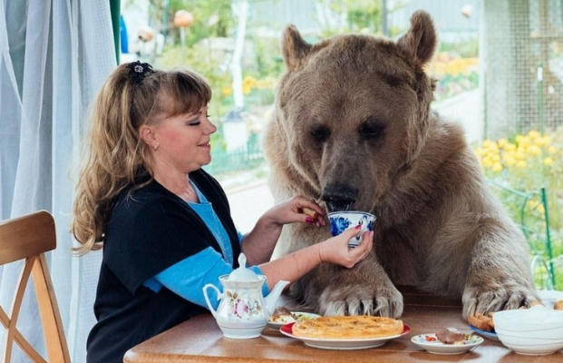 加州屋主与巨熊同居30天，从惊恐到邻居，一场跨越物种的奇妙共处
